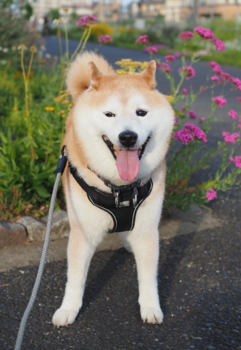 21日朝ブログ２