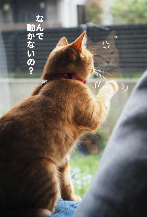 2日夕ブログ１０
