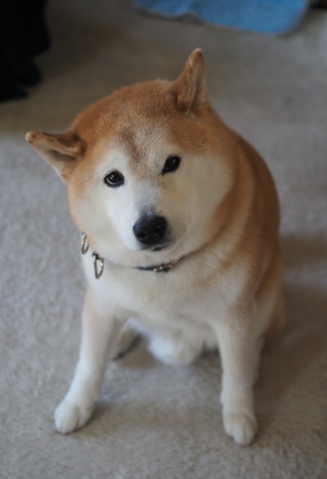 28日ブログ4