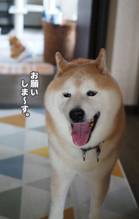 19日ブログ３