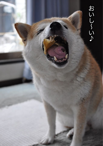 24日ブログ12.jpg