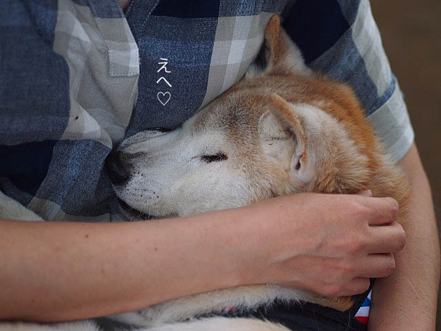 24日ブログ11