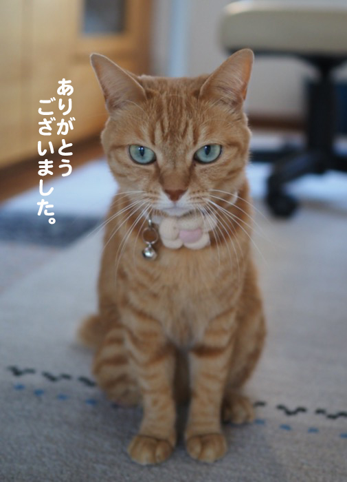 31日夕ブログ６