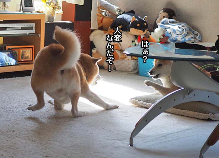 23日午前ブログ６