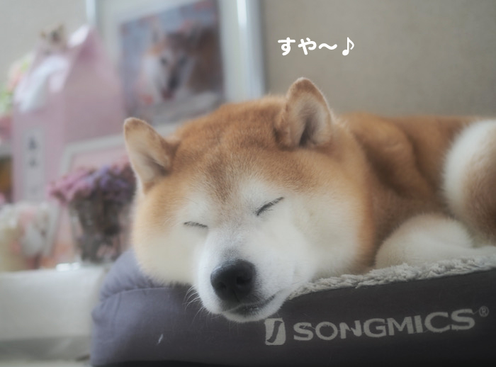 21日ブログ２