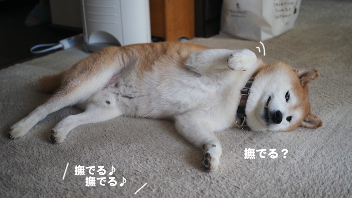 19日ブログ２