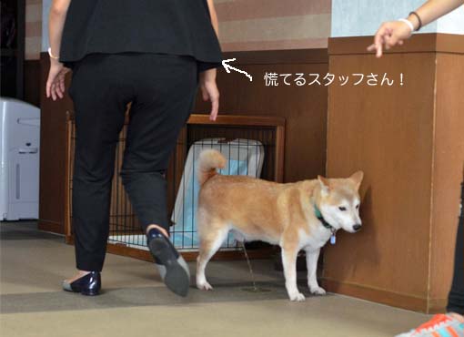 28日ブログ12.jpg