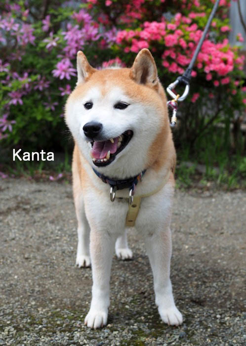 17日ブログ４