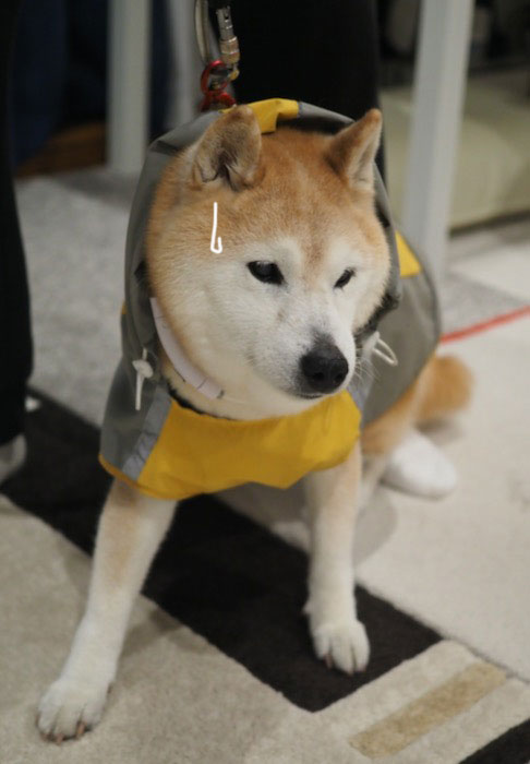 24日ブログ３