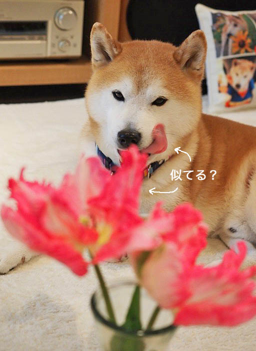 14日ブログ６