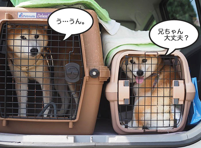 3日午後ブログ８