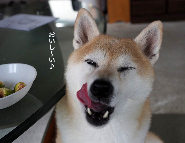 3日夜ブログ６