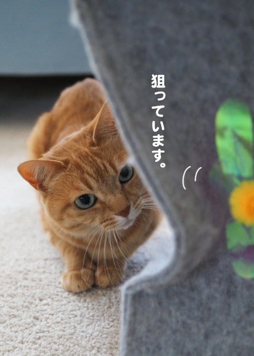 29日夜ブログ4