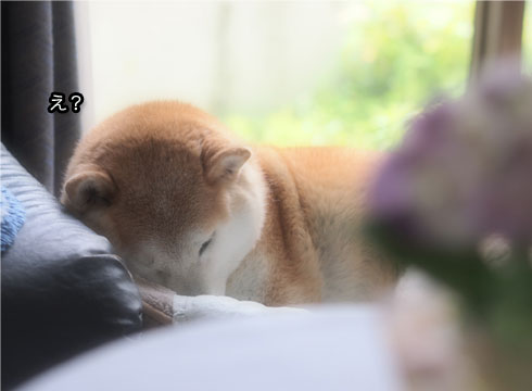 25日ブログ8.jpg