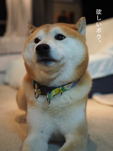 22日ブログ9