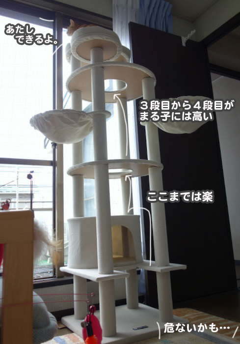29日夕ブログ１４