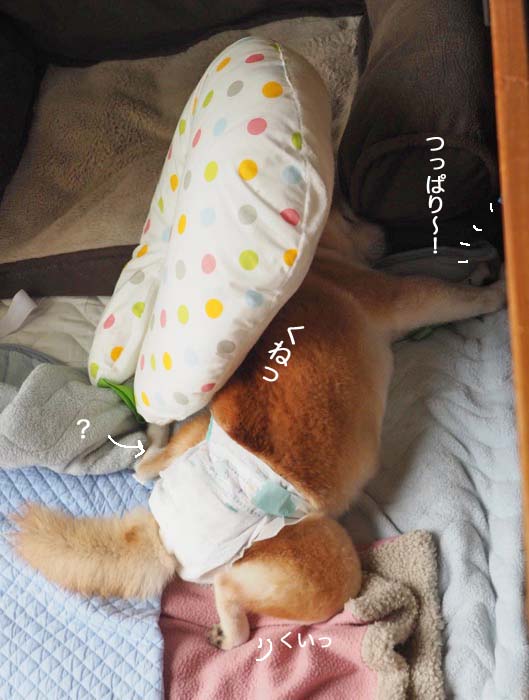 14日夜ブログ１
