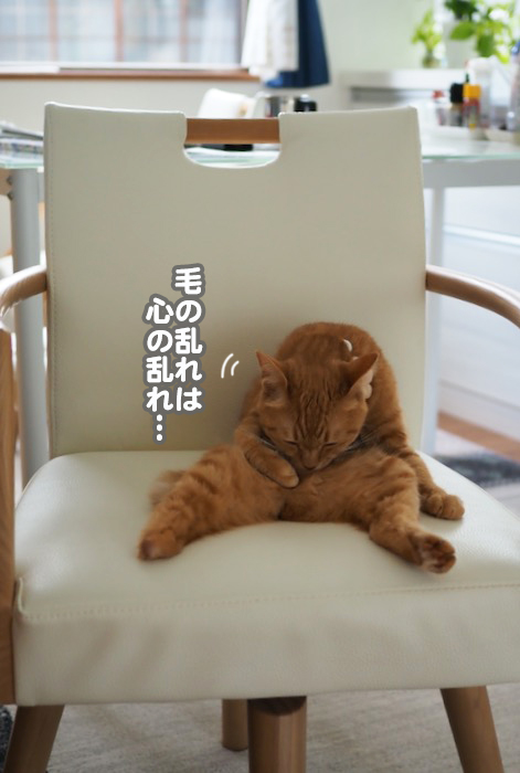 14日夕ブログ３