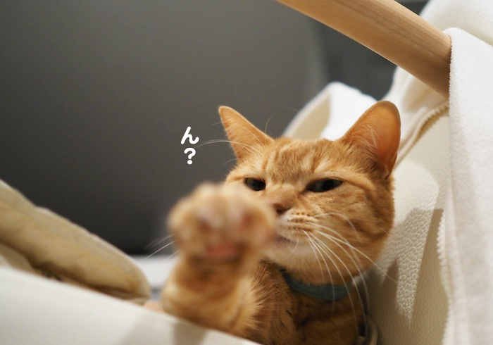 30日夕ブログ５