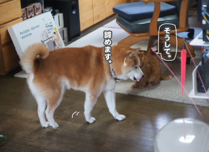 5日ブログ５