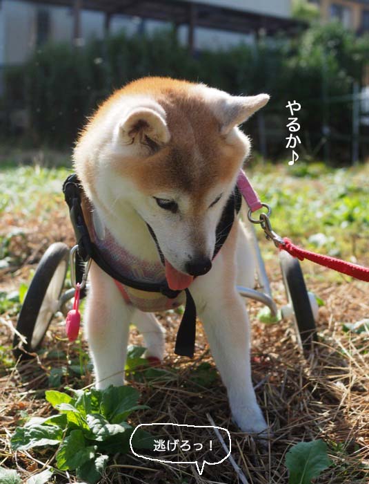 8日ブログ３