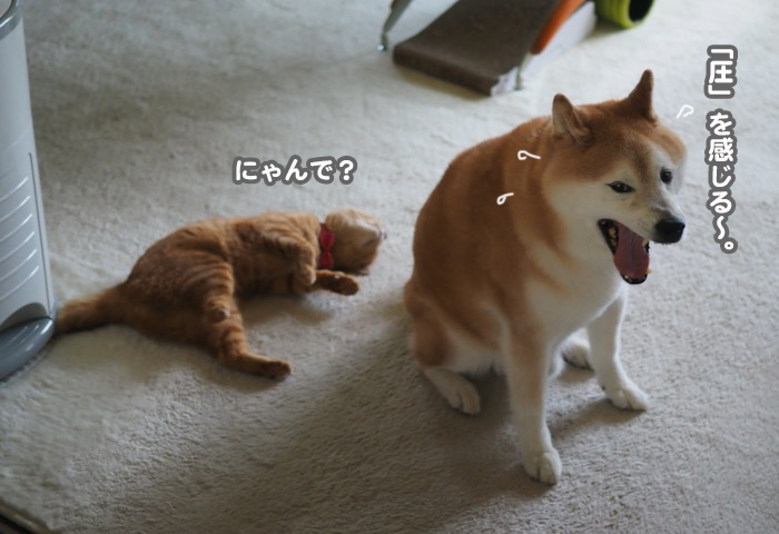 14日夕ブログ３