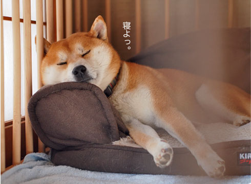 14日ブログ8.jpg