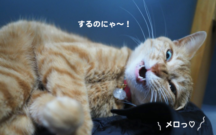 21日ブログ４