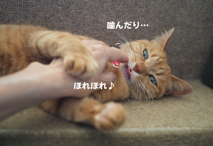 16日夕ブログ6