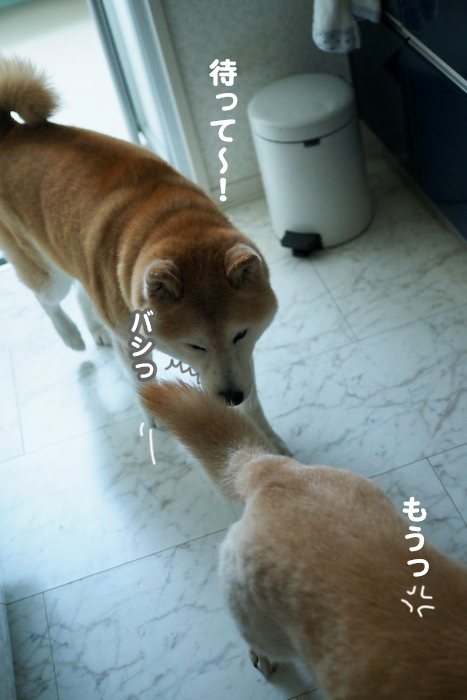 15日夕ブログ１１