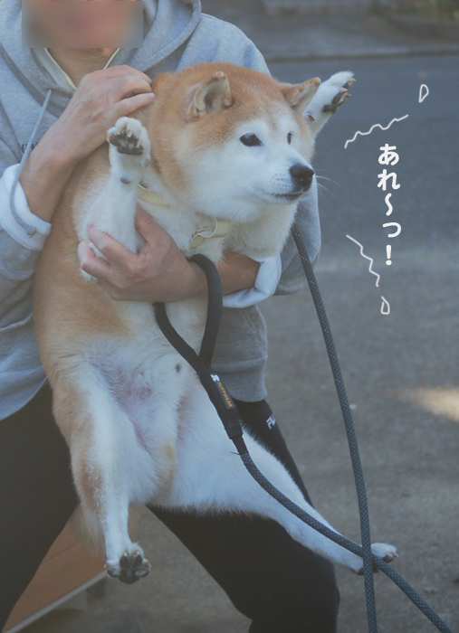 7日ブログ１０