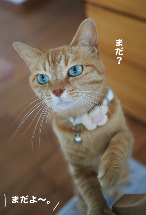 3日ブログ２