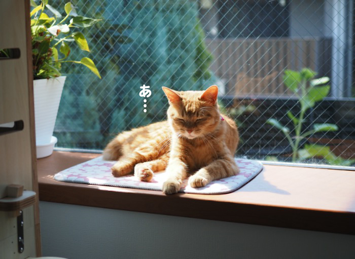 31日ブログ１