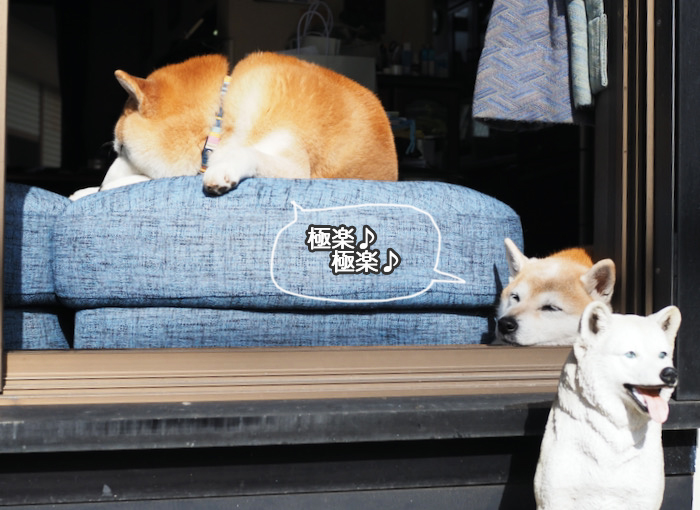 8日ブログ５