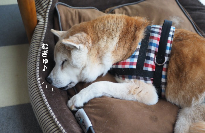 12日ブログ７