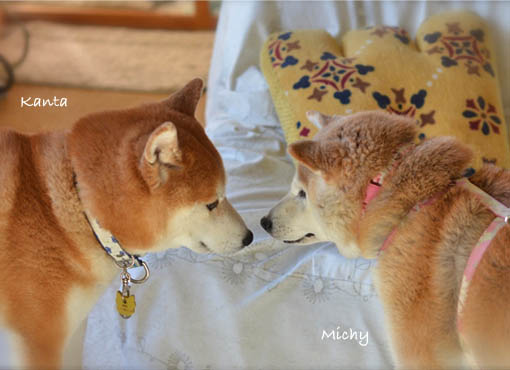 9日ブログ2.jpg