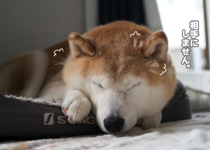 16日夕ブログ5