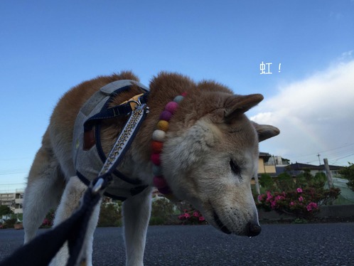 11日ブログ９