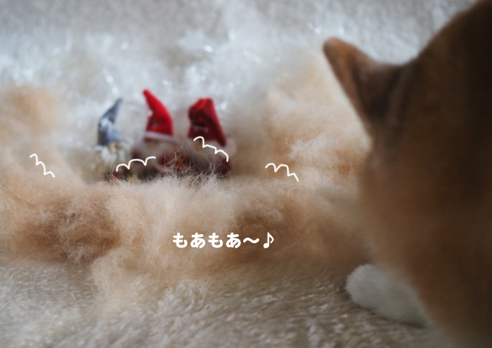 21日夕ブログ２