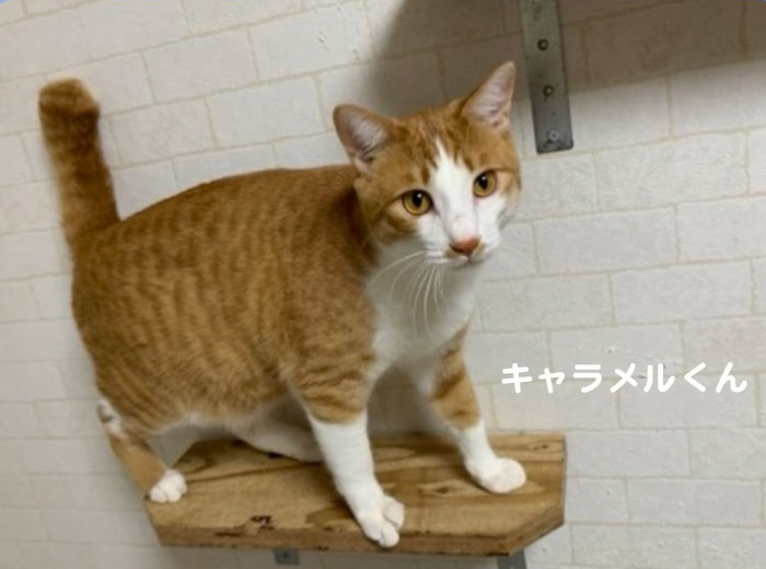 23日夕ブログ８