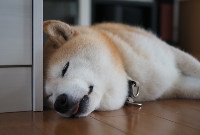 4日ブログ１