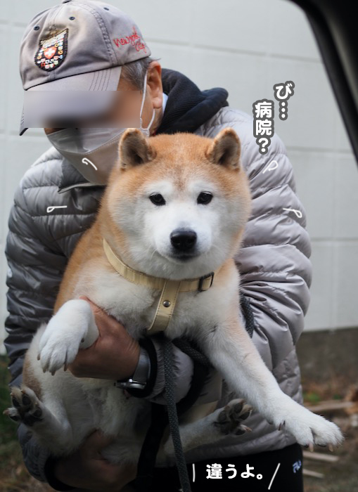 7日夕ブログ５