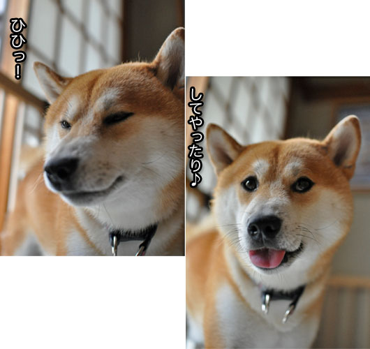 30日ブログ19.jpg