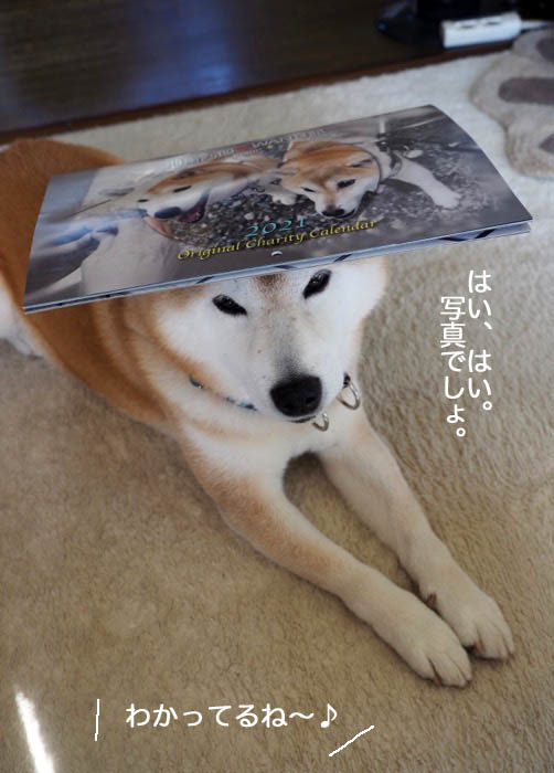 17日ブログ４