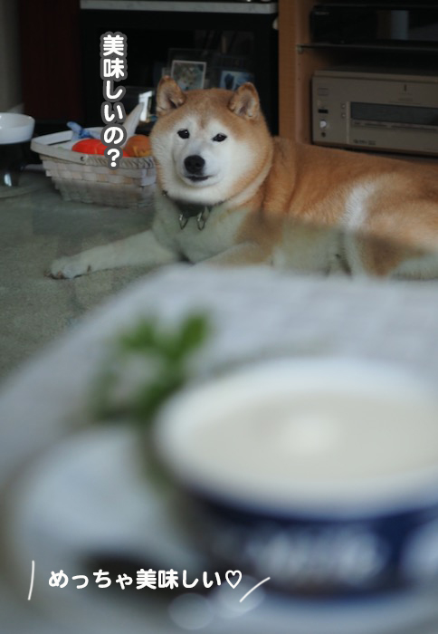 21日ブログ４