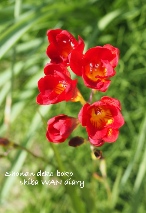 30日ブログ１
