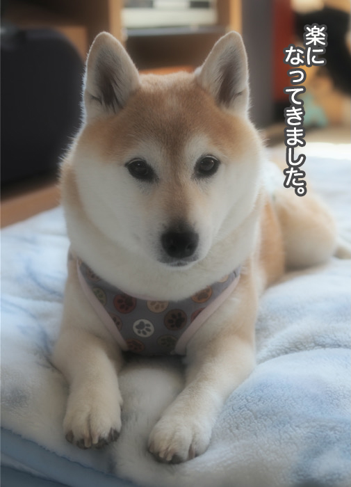24日夜ブログ３