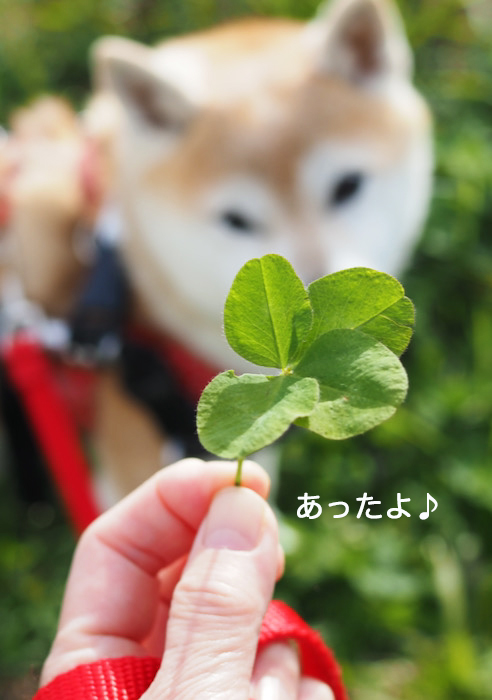 10日昼ブログ２