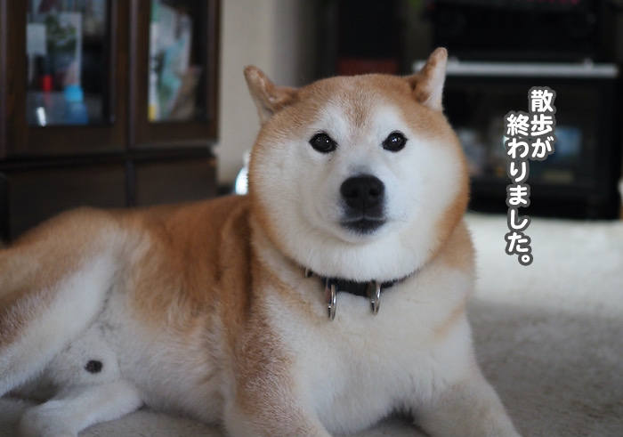 6日夜ブログ２