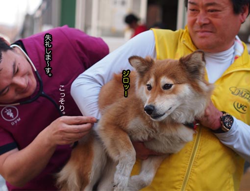 27日ブログ7.jpg